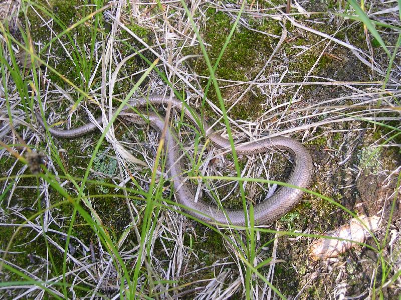 Foto: Slep�� p�i odpo�inku