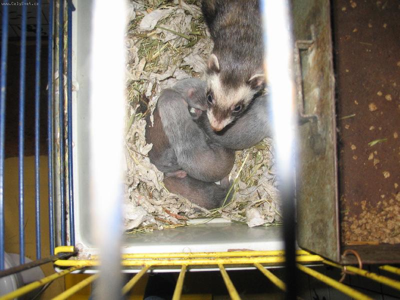 Foto: FRETKA-mama a mimi...