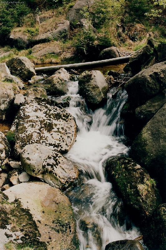 Foto: na�el si cestu