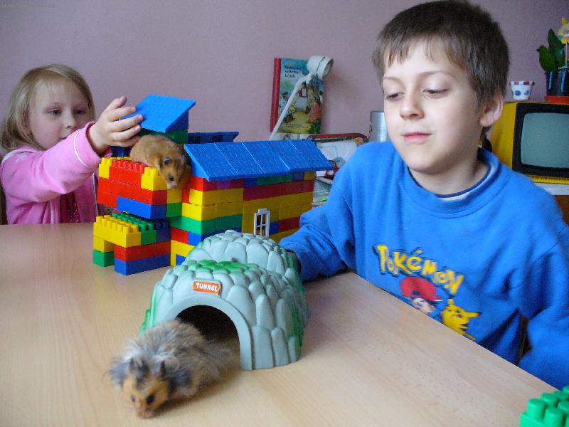 Foto: Hryzalka a St�apo�ek-Po�kej na mn�