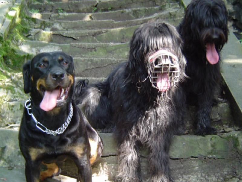 Foto: Gaty, Rocky, Ejmy-Odpo�inek v p��rod�