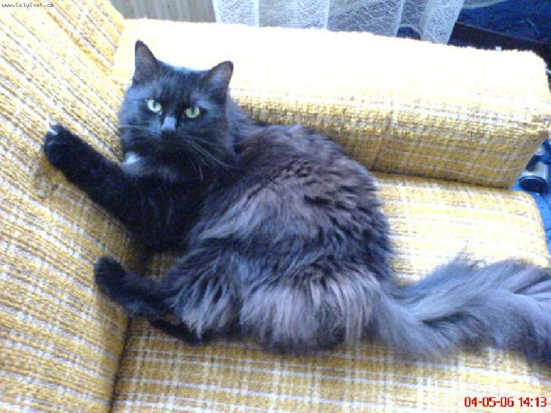 Foto: n� mazl��ek