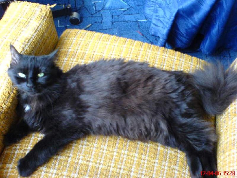 Foto: n� mazl��ek