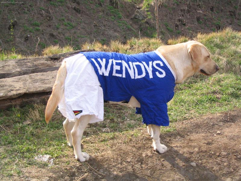 Foto: ps� fotbalista-na�e wendy je �ampion a kope sam� goly