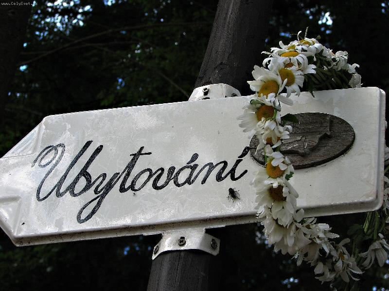 Foto: ZBYL PO N� JEN V�NE�EK