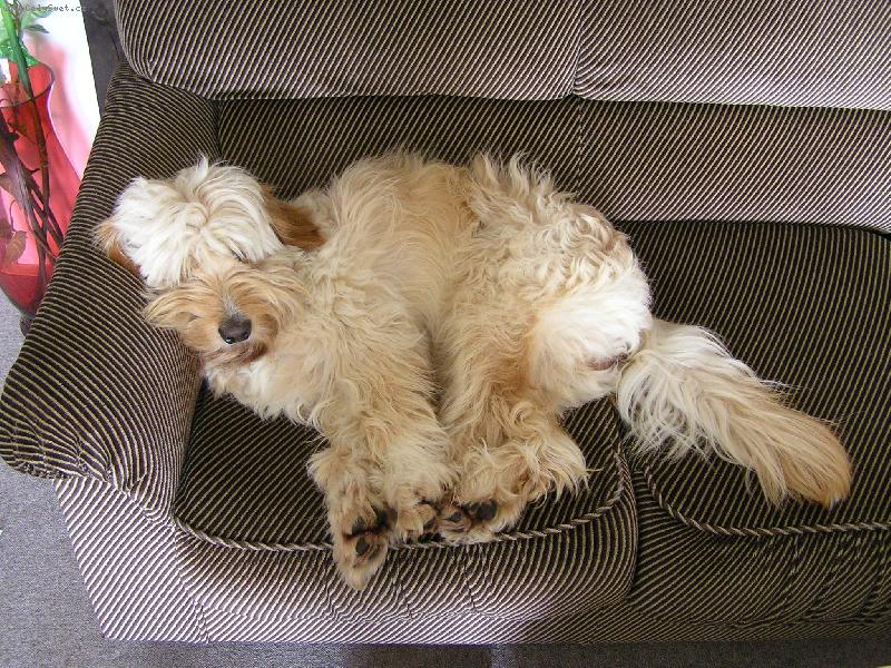 Foto: Chlupat� �t�st�-Mat�jovo rann� probuzen�