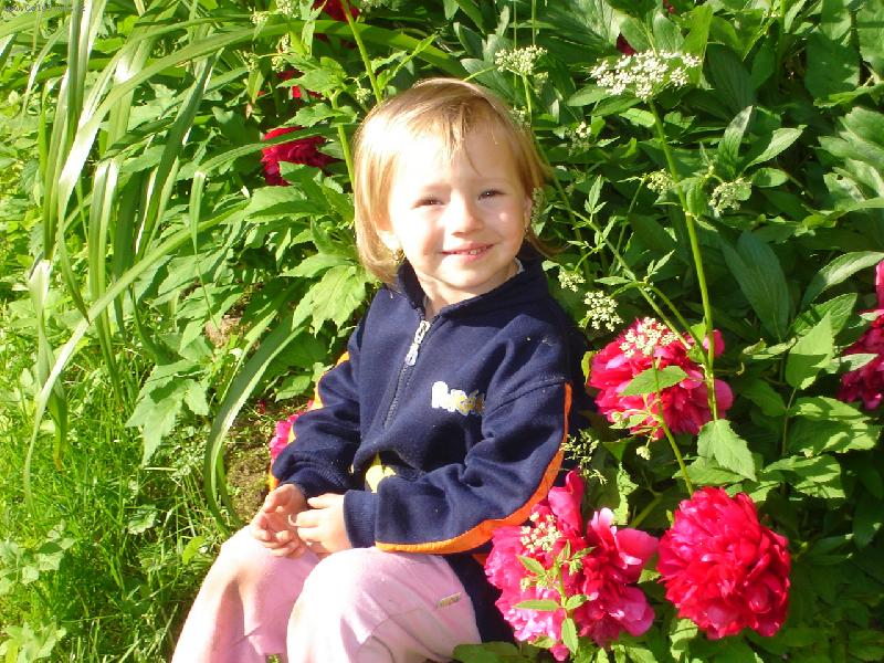 Foto: �erven� pivo�ky