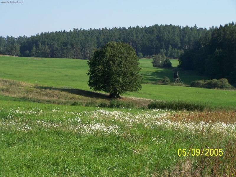 Foto: Dlouh� �ivot-Samostatn� stoj�c� l�pa v pol�ch