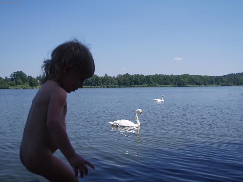 Foto: Poj�te ke m�...-Labut�