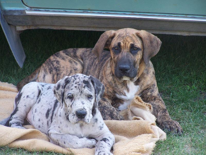 Foto: Kluci-Igor a Fidel