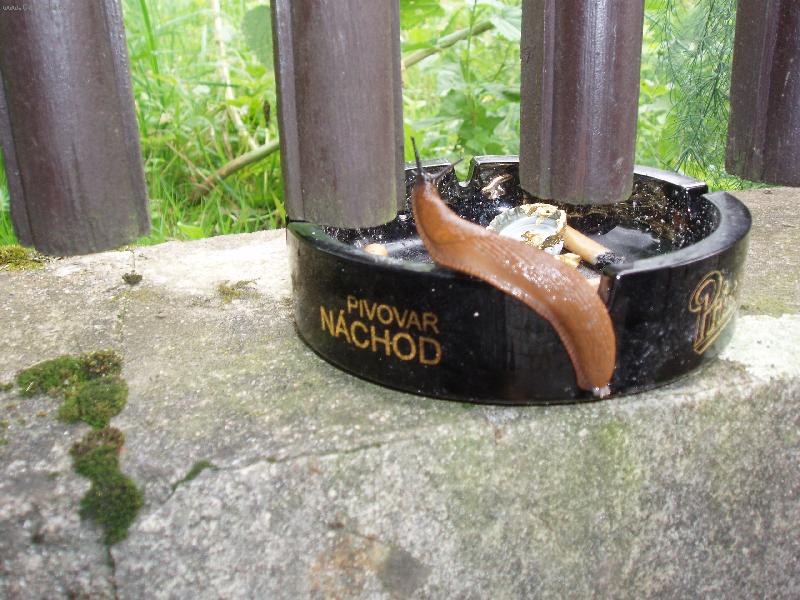 Foto: Slim�k na v�let�