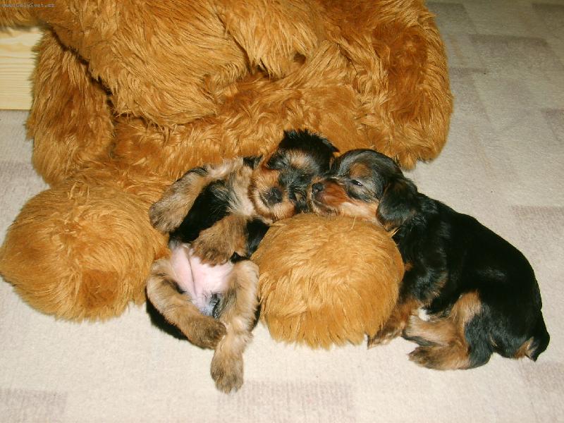 Foto: Odpoled� klid