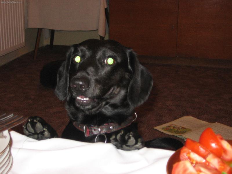 Foto: O�i-Je tam n�co pro mne?