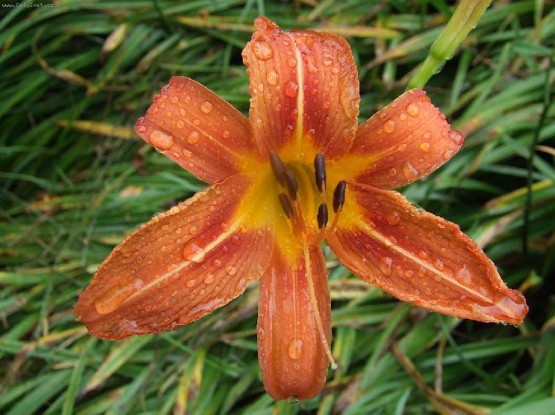 Foto: pokus po desti...