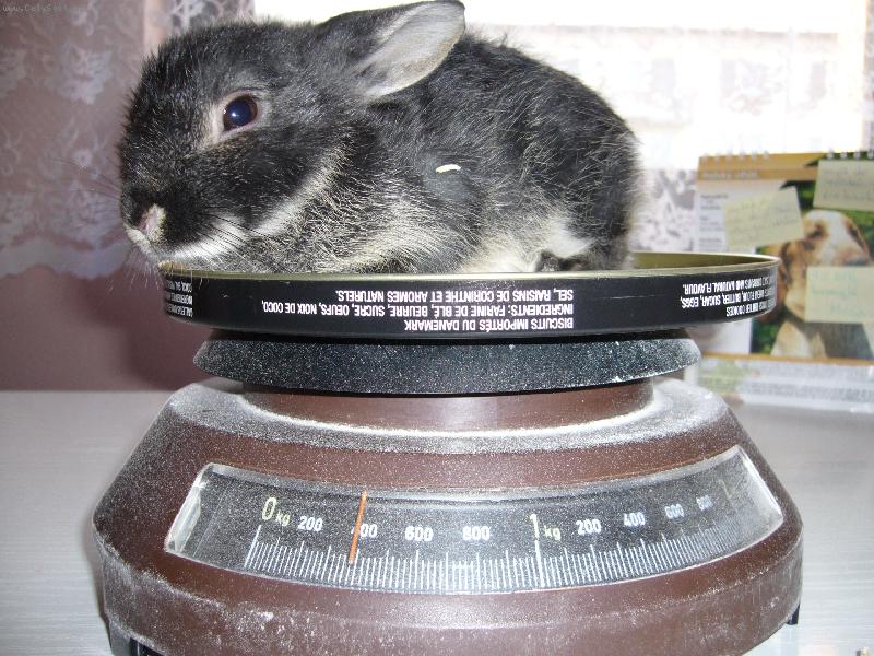 Foto: M�enka-m�j kr�l��ek, v�� 300g -je to je�t� mrn�