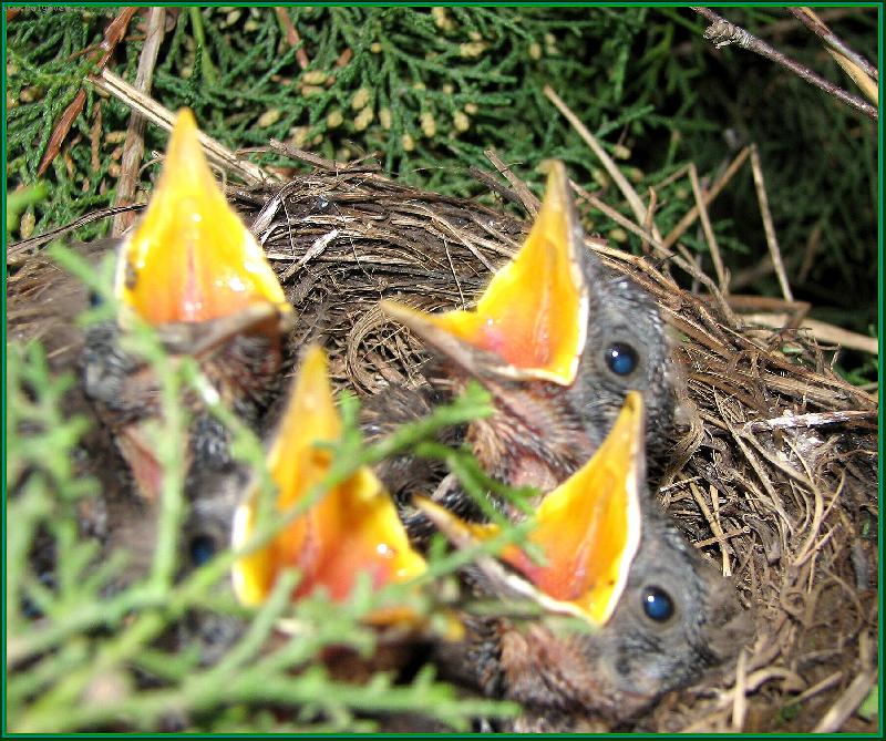 Foto: KASTINK NA NOV� 4TET