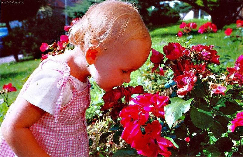 Foto: TU MI MUS� P�IN�ST SOUSEDOVIC PEPA