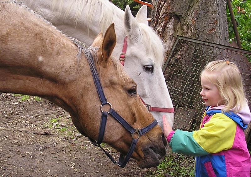 Foto: p��telstv�-�am,�am