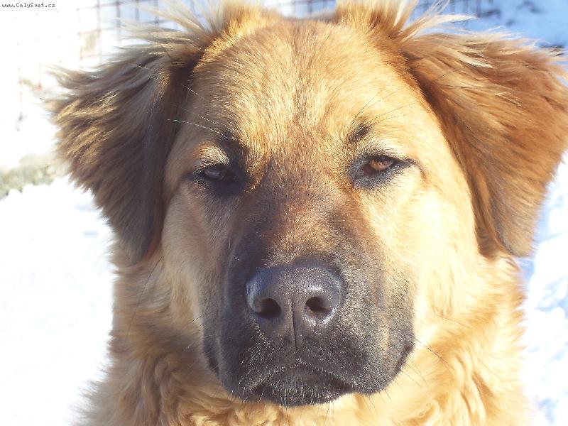 Foto: Tak to jsem j�, KUK!!! :-)