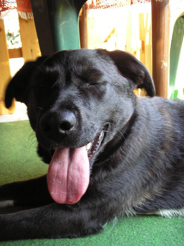 Foto: Marry-To m�m kr�sn� o�i co?