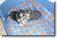 �t���tka k��zenc�