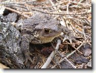 ����b���