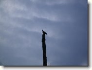 Pt�k na sto��ru