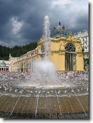 Modr� slune�n�k