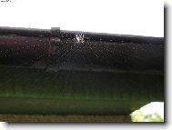 Rozd�lan� pr�ce