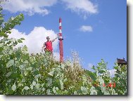 lysou u�� dor�st�m