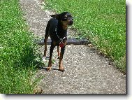 Vyh��v�n� na slun��ku