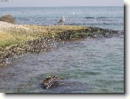 �ek�n� na dru�ku