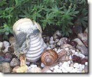 mrtv� a   �iv�