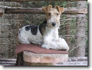 j�-moje sebev�dom�