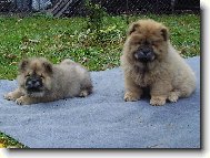 Rozh�dan� mal� a velk� sestra:)