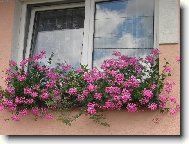 Zasn�n� okno....