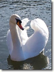 Jak se ti l�b�m?