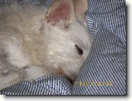 zaslou�en� sp�nek,,