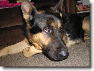 beny�ek