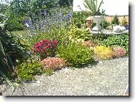 Zahr�dka na ja�e