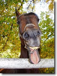 Ne ka�d� je fotogenick�...