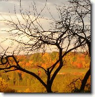 Podzimn� n�lada....!