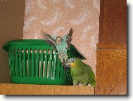 To jsem ale kr�snej