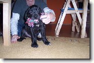 To m�m p�knou hra�ku co??