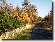 podzimn� p��roda na D���nsk�m Sn�n�ku