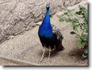 Nen� rozko�n�?