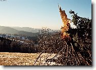 Vala�sk� krajina