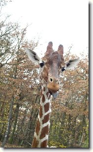 A ka�lu na v�s na v�echny :-)