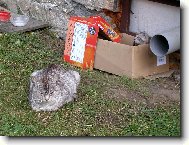 SVOBODN� MATKA