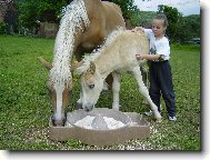 na�i mil��kov�